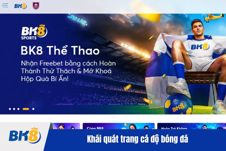 Khái quát chung về trang cá độ bóng đá BK8