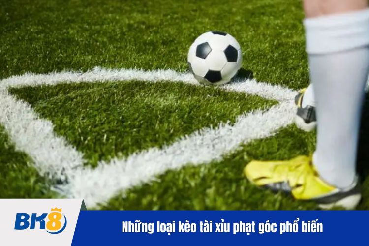 Những loại kèo tài xỉu phạt góc phổ biến